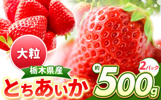 【チョイス限定】【先行予約】とちあいか 大粒 約500g（2P） | いちご とちあいか とちおとめ 大粒 新鮮 甘い 食べ比べ 数量 限定 美味しい 果物 共通返礼品 フルーツ デザート 栃木県 那珂川町 送料無料 1660858 - 栃木県那珂川町