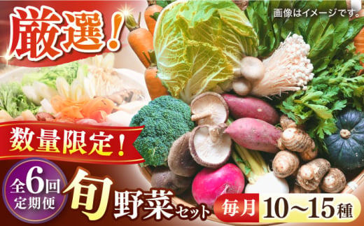 【全6回】【数量限定】厳選！旬を味わう高槻野菜おまかせ詰め合わせ定期便（10種～15種）　大阪府高槻市/高槻あぐり [AOCS020]