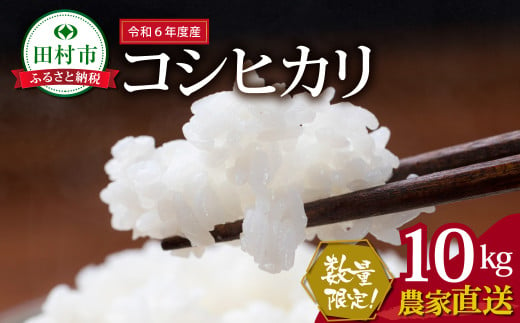 数量限定！ 【令和6年産】田村産 コシヒカリ 10kg ( 10kg(紙袋) × 1袋 ) 農家直送 お米 白米 精米したてを発送 贈答 米 コメ ご飯  単一米 精米 国産 おすすめ 生活応援 福島県 田村市 井堀利男