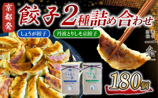 選べる 餃子 2種詰め合わせセット しょうが餃子 ＆ 丹波とりしそ京餃子  180個  冷凍 ぎょうざ ギョウザ ギョーザ しょうが 生姜 豚肉 便利 簡単調理 惣菜 絶品 おかず お子様 家族 こだわり餃子 餃子 人気餃子 簡易包装餃子 冷凍餃子 冷凍生餃子 京都 井手町 京都餃子一条  1733745 - 京都府京都府庁