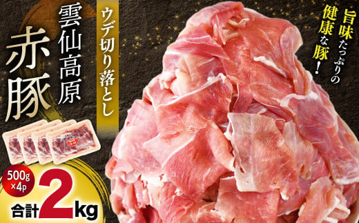 長崎県産 雲仙高原 赤豚 国産 豚ウデ 切り落とし2kg（500ｇ×4P入） 長崎県/長崎県農産品流通合同会社 [42AMAE004] 切り落とし　大容量 小分け しゃぶしゃぶ