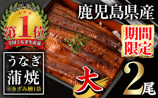 無投薬！鹿児島県産うなぎ蒲焼セット＜大＞(計280g・ 約140g×2尾)＋きざみ鰻1袋(1袋50g) タレ・山椒付き  鰻 うなぎ 蒲焼 【西日本養鰻】A509