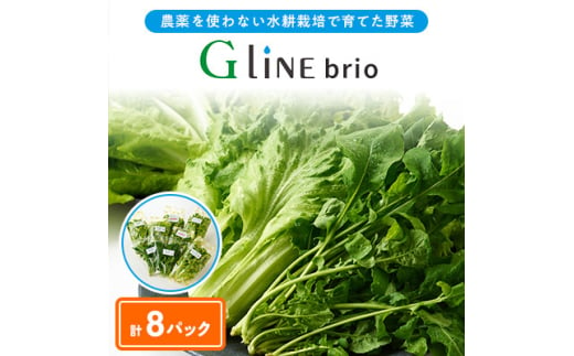 ＜毎月定期便＞G Line brio レタス8パックセット全2回【4056835】