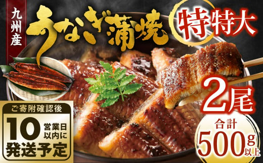 九州産 うなぎ蒲焼 特特大2尾 (1尾あたり250～266g) 合計500g以上 1182192 - 福岡県北九州市