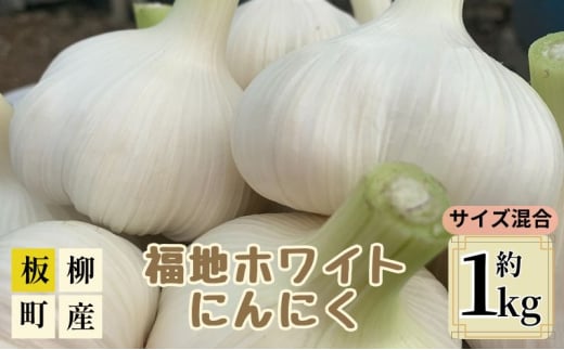 サイズ混合にんにく約1kg（8～15玉程度）