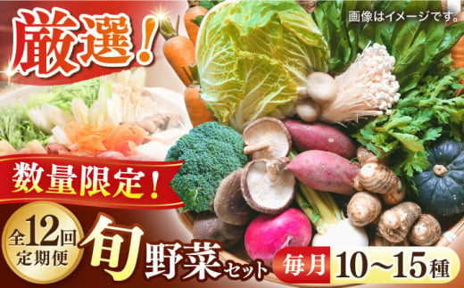 【全12回】【数量限定】厳選！旬を味わう高槻野菜おまかせ詰め合わせ定期便（10種～15種）　大阪府高槻市/高槻あぐり [AOCS021]