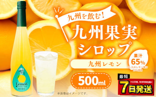 「年内発送」九州を飲む！九州果実 シロップ 九州レモン 500ml 1本 約25杯分 レモン フルーツ 果物 ジュース 864954 - 熊本県水俣市