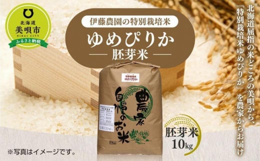 【令和6年産】伊藤農園の特別栽培米ゆめぴりか　胚芽米（１０ｋｇ）【定期便５ヶ月】