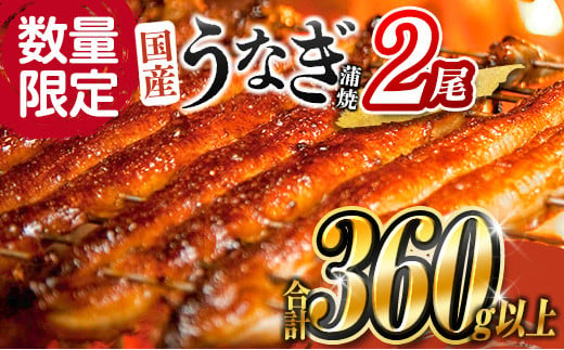 数量限定 うなぎ 鰻楽 国産 蒲焼 2尾 