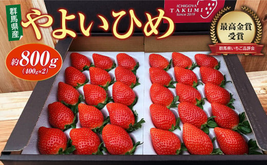 やよいひめ 約800g 群馬県いちご品評会