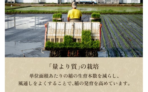 新潟県加茂市のふるさと納税 【令和6年産新米】【定期便6ヶ月毎月お届け】新潟県加茂市産コシヒカリ 精米3kg 白米 加茂有機米生産組合 定期便