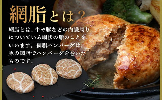 石垣島産 アグー豚（南ぬ豚）網脂 ハンバーグ ≪6個セット≫【 ハンバーグ石垣島産 国産 あぐー豚ハンバーグ 沖縄県 】(tokyoFMで紹介された「 南ぬ豚(ぱいぬぶた)」です！♪) E-9-1 - 沖縄県石垣市｜ふるさとチョイス - ふるさと納税サイト