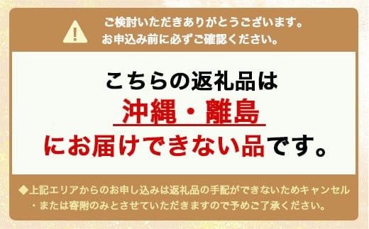 富山県魚津市のふるさと納税 K24 純金 ネックレス シャインカット小豆 0.29φ 45cm｜純金 ゴールド 24金 K24 日本製 アクセサリー ネックレス レディース メンズ ファッション ギフト プレゼント 富山 富山県 魚津市 ※沖縄・離島への配送不可