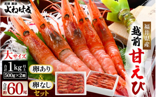 天然！越前甘エビ 約1kg【大サイズ 卵あり&卵なし】セット【えび エビ 海老 甘エビ 甘えび 子持ち 海鮮 お刺身 おせち 無添加 福井県産 国産】 [m17-c016]