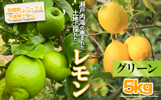 【2025年10月より順次発送】グリーンレモン 約5kg ｜果物 くだもの フルーツ レモン れもん 檸檬 新鮮 かんきつ 柑橘 防腐剤不使用 ワックス不使用 グリーンレモン ぐりーんれもん イエローレモン いえろーれもん  国産 愛媛県 松山市 瀬戸内 レモン果汁 ビタミン レモンサワー ジュース チューハイ レモンシロップ レモンスカッシュ 1660798 - 愛媛県松山市