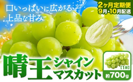 シャインマスカット 晴王 定期便シャインマスカット【2ヶ月定期便】ぶどう シャインマスカット 晴王 700g 1房 ハレノフルーツ(アストライ)《9月上旬-10月末頃出荷》岡山県 浅口市 送料無料 フルーツ 果物 マスカット お取り寄せフルーツ【配送不可地域あり】