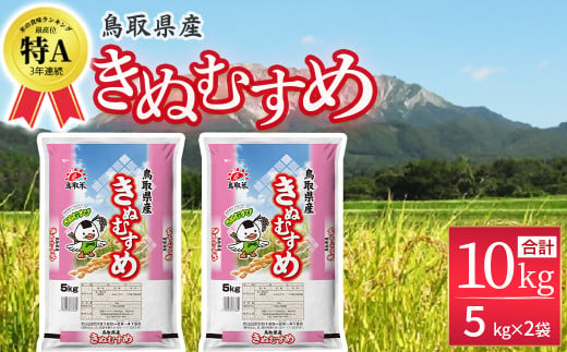 鳥取県産 きぬむすめ (5kg×2袋) パールライス 精米 お米 米 こめ コメ 白米 ブランド おいしい 健康 産地直送 米5キロ きぬむすめ