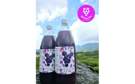 ぶどうジュース(巨峰)1000ml×2本【1535611】