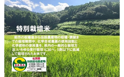 【令和6年産・無洗米】佐賀県産「特別栽培米コシヒカリ」10kg（5kg×2袋）：B275-009