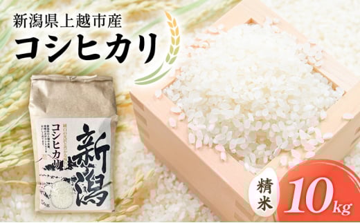 【先行予約　9月中旬より順次出荷】令和7年度産　新潟県上越市産　コシヒカリ（特別栽培米）　10kg 米 お米 こしひかり ご飯 精米 新潟 上越 1698506 - 新潟県上越市