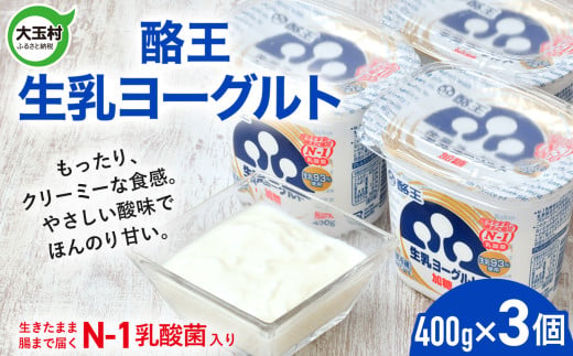 酪王 生乳 ヨーグルト 加糖 400g × 3個 ｜ もったり 濃厚 クリーミー 香料 安定剤 不使用 乳酸菌 腸活 プロバイオティクス 健康 美容 福島 子ども 女性 大玉村 ご当地 乳製品 朝食 | pl-yo-400g-3s 1688365 - 福島県大玉村