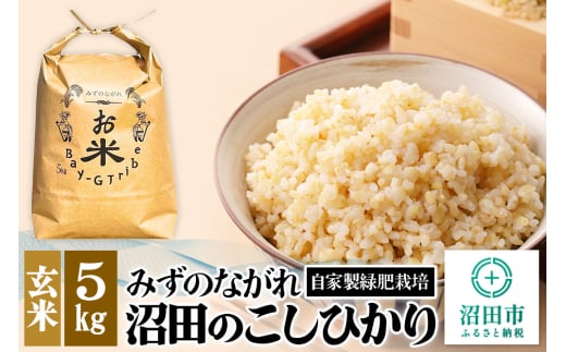 令和6年産 沼田のこしひかり「みずのながれ」玄米 5kg 1690424 - 群馬県沼田市