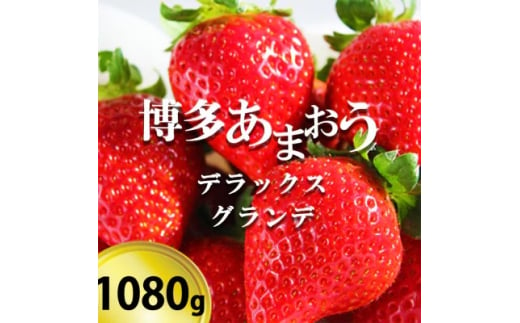 いちご 博多あまおう デラックス&グランデ 4パック 【お申込：2025年1月25日迄、配送：2月1日～2月15日】 1699246 - 福岡県小郡市