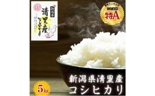 新潟県 清里産コシヒカリ 5kg 上越市　白米　こめ　新潟 新潟県産 上越 1698511 - 新潟県上越市