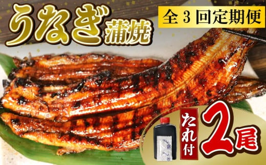 【全3回定期便】うなぎ 蒲焼 大姿焼き 2尾 (140g×2)  定期便  鰻蒲焼 ウナギ かばやき 土用 丑の日  活鰻 自家製蒲焼 たれ 山椒 ギフト 贈答   冷蔵 まとめ買い 静岡県 藤枝 ふるさと人気