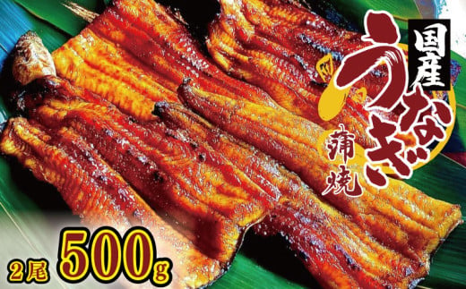 うなぎ 国産 鰻 蒲焼き 2尾 500g 秘伝のタレ付 炭火焼き ウナギ かば焼 国産うなぎ 蒲焼 鰻蒲焼き タレ セット 魚 魚介 惣菜 ギフト 贈り物 贈答 土用の丑 和食 日本料理 冷凍 徳島県 吉野川市 939936 - 徳島県吉野川市