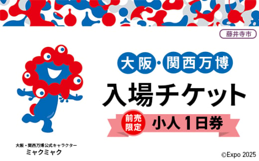 No.292 【前売限定】2025年日本国際博覧会入場チケット 一日券（小人）【藤井寺市返礼品】 ／ 万博 EXPO 2026 大阪万博 関西万博 夢洲 入場券 大阪府 1706761 - 大阪府藤井寺市