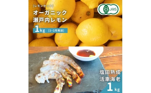 【NHK うまいッ！で紹介】[予約] オーガニック瀬戸内レモン 1kg(1~2月発送) / 塩田熟成活車海老 1kg(11~2月発送) オーガニック 有機レモン 有機JAS 果汁100% レモン えび エビ エビフライ 晩酌 国産 瀬戸内 濃厚 甘さ控えめ 免疫力向上 健康 ビタミンC クエン酸 抗酸化 ソーダ 炭酸水