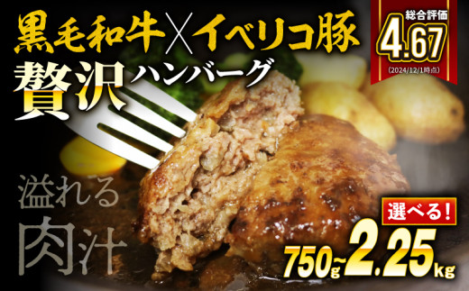 【3月発送】黒毛和牛 イベリコ豚 合挽 ハンバーグ 150g 10個 1.5kg 冷凍 無添加パン 国産 和牛 牛肉 牛 豚肉 イベリコ 豚 合い挽き 合いびき 合挽ハンバーグ 手作り 手ごね 小分け 真空 パック 簡単 調理 おかず 惣菜 晩ごはん 美味しい おいしい 贅沢 高級 ギフト 歳暮 贈答 大阪 松原 1861530 - 大阪府松原市