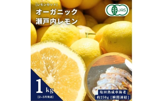 オーガニック瀬戸内レモン 1kg(2~3月発送) / 塩田熟成活車海老 250g(瞬間凍結) オーガニック 有機レモン 有機JAS 果汁100% レモン えび エビ エビフライ 晩酌 国産 瀬戸内 濃厚 甘さ控えめ 免疫力向上 健康 ビタミンC クエン酸 抗酸化 ソーダ 炭酸水