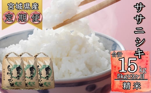 【令和6年産】 【新米】ササニシキ（精米）合計 15kg 5kg 3ヵ月定期便（5kg×3回） 【定期便】 宮城県 東松島市 米 白米 こめ オンラインワンストップ 対応 自治体マイページ ささにしき C 1209241 - 宮城県東松島市