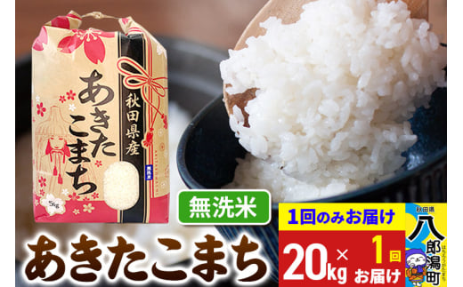 あきたこまち 20kg【無洗米】令和6年産 秋田県産 こまちライン 1685761 - 秋田県八郎潟町