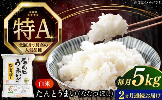 【全2回定期便】【令和6年産新米】たんとう米（ななつぼし）5kg《厚真町》【とまこまい広域農業協同組合】 米 お米 白米 ご飯 ななつぼし 北海道 定期便 [AXAB076] 1694375 - 北海道厚真町