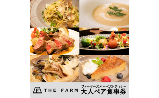 THE FARM CAFE　ファーマーズハーベストディナー　大人ペア食事券【1551024】 1498471 - 千葉県香取市