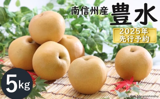 JA06-25A【先行予約】梨 豊水 約5kg / 2025年9月上旬～9月下旬頃 配送予定 // 贈答 センサー選別 糖度センサー 梨 なし ナシ 果物 フルーツ ギフト 豊水 太鼓判 優糖生  568355 - 長野県松川町