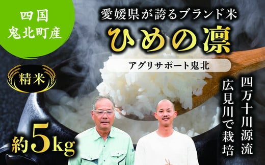 [先行予約][令和7年度産新米]ひめの凛 約5kg (精米済み) | 精米 お米 米 白米 人気 ブランド ランキング 産地直送 愛媛県 鬼北町 四国 国産 内祝い お祝い アグリサポート鬼北 ※離島への配送不可 ※2025年11月頃より順次発送予定