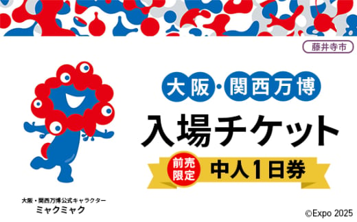 No.293 【前売限定】2025年日本国際博覧会入場チケット 一日券（中人）【藤井寺市返礼品】 ／ 万博 EXPO 2027 大阪万博 関西万博 夢洲 入場券 大阪府 1706762 - 大阪府藤井寺市