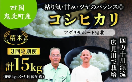 [先行予約][令和7年度産新米][3か月定期便]コシヒカリ 約15kg(約5kg×3回)(精米済み) | 精米 お米 米 白米 人気 ランキング 愛媛県 鬼北町 四国 国産 アグリサポート鬼北 ※離島への配送不可 ※2025年10月頃より順次発送予定
