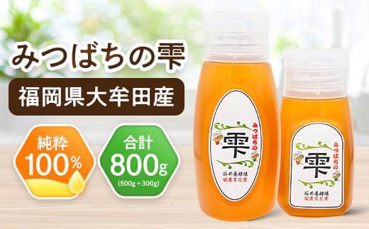 坂井養蜂場 みつばちの雫 1000g 国産蜂蜜【1111654】 - 福岡県大牟田市｜ふるさとチョイス - ふるさと納税サイト