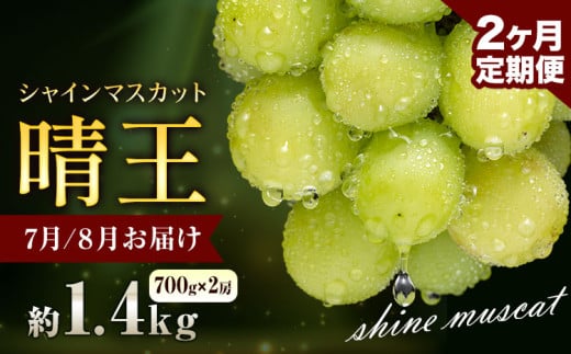 ぶどう シャインマスカット 晴王 1.4kg 2房 2ヶ月定期便 彩美菜果《7月上旬-8月末頃出荷》 マスカット 送料無料 岡山県 浅口市 フルーツ 果物 贈り物 国産 岡山県産 くだもの 果物 7月 8月発送 【配送不可地域あり】