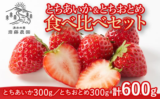 とちあいか約300g＆とちおとめ約300g　計約600g ※北海道・沖縄・離島への配送不可 1683661 - 栃木県塩谷町