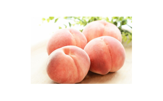 ＜2025年発送＞フルーツ王国　長野県信州直送　白桃　約1.5kg(3～7玉)【1576251】