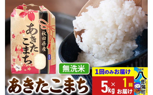 あきたこまち 5kg【無洗米】令和6年産 秋田県産 こまちライン 1685759 - 秋田県八郎潟町