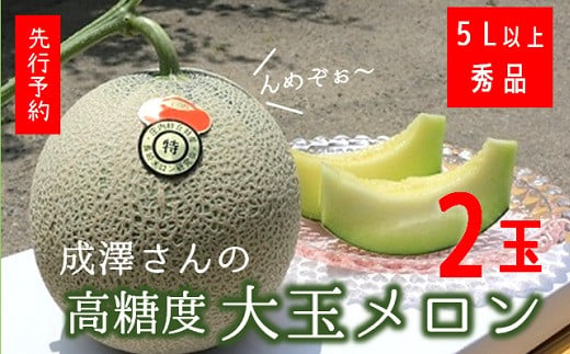 ★先行予約★【令和7年産】成澤さんの厳選！【2玉入】高糖度大玉メロン ※令和7年6月中下旬より発送開始予定