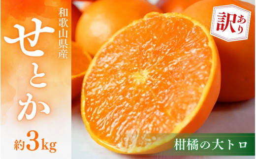 [ご家庭用訳あり]ジューシー柑橘 せとか 約3kg[先行予約]※2026年2月中旬頃〜2026年3月中旬頃発送予定(お届け日指定不可) せとか みかん ミカン 柑橘 フルーツ 果物 くだもの[uot834A]