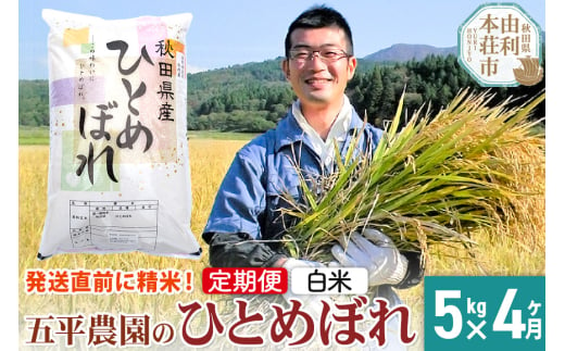 《新米》《定期便4ヶ月》【白米】ひとめぼれ 令和6年産 秋田県産 五平農園のひとめぼれ 5kg 1491171 - 秋田県由利本荘市